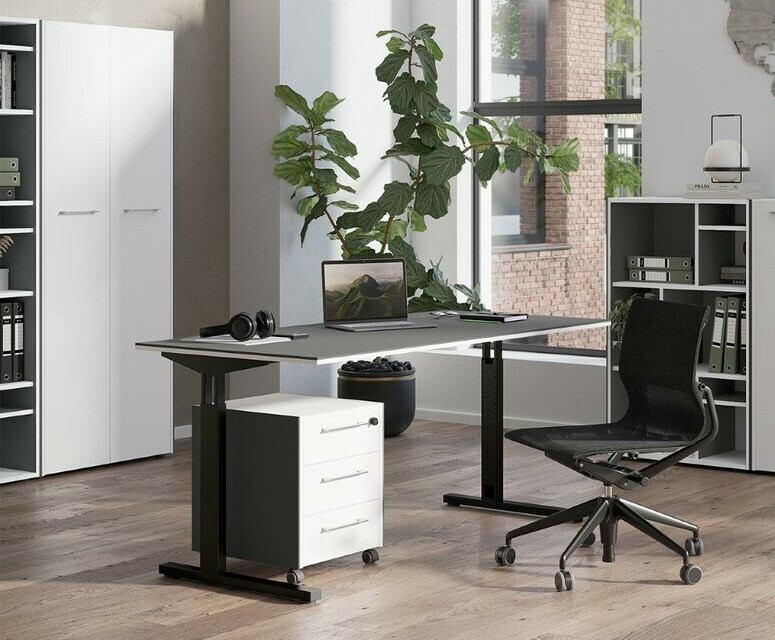 Coleção de mobiliário Fivcalu