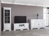 Conjunto para sala de estar Salmeru 108 (Anderson pinho)