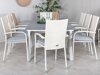 Conjunto de mesa e cadeiras Dallas 2408 (Branco + Cinzento)
