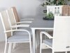Conjunto de mesa e cadeiras Dallas 2408 (Branco + Cinzento)