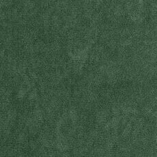 Cama Hortulus I (Mikrofaza 10)