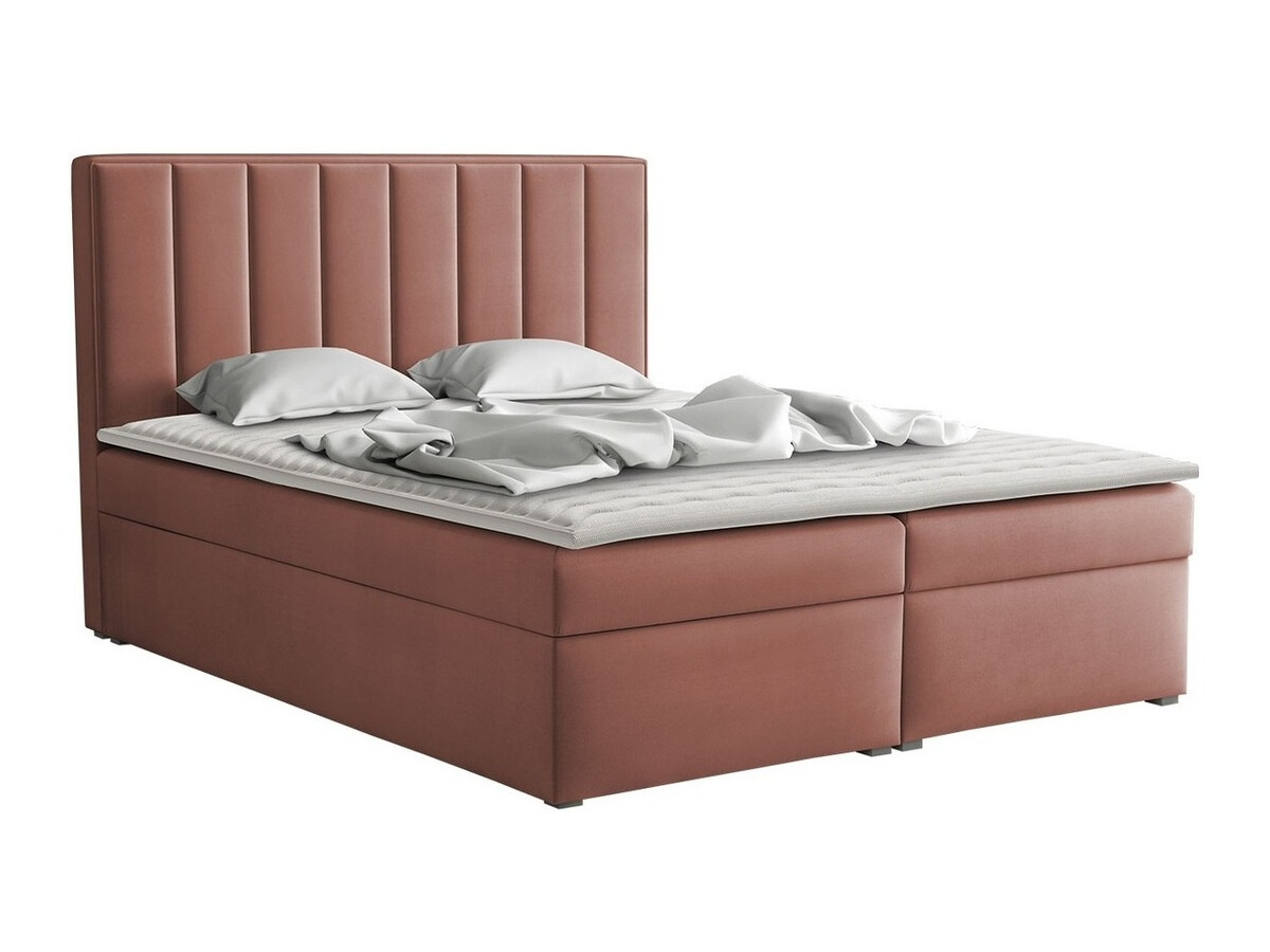 Cama continental Pomona 116 (Magic veludo 2258)