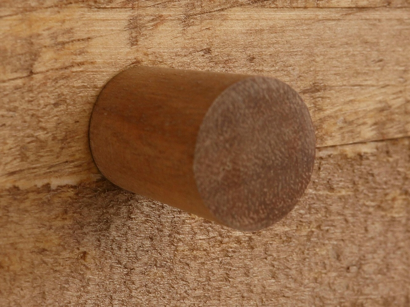 Sapateira Tulsa 273