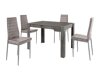 Conjunto para refeições Denton 447 (Cinzento claro)
