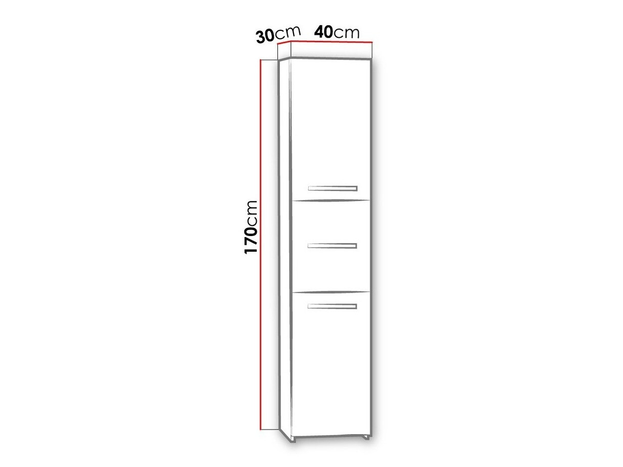 Armário colocado para casa de banho Comfivo Piscator II