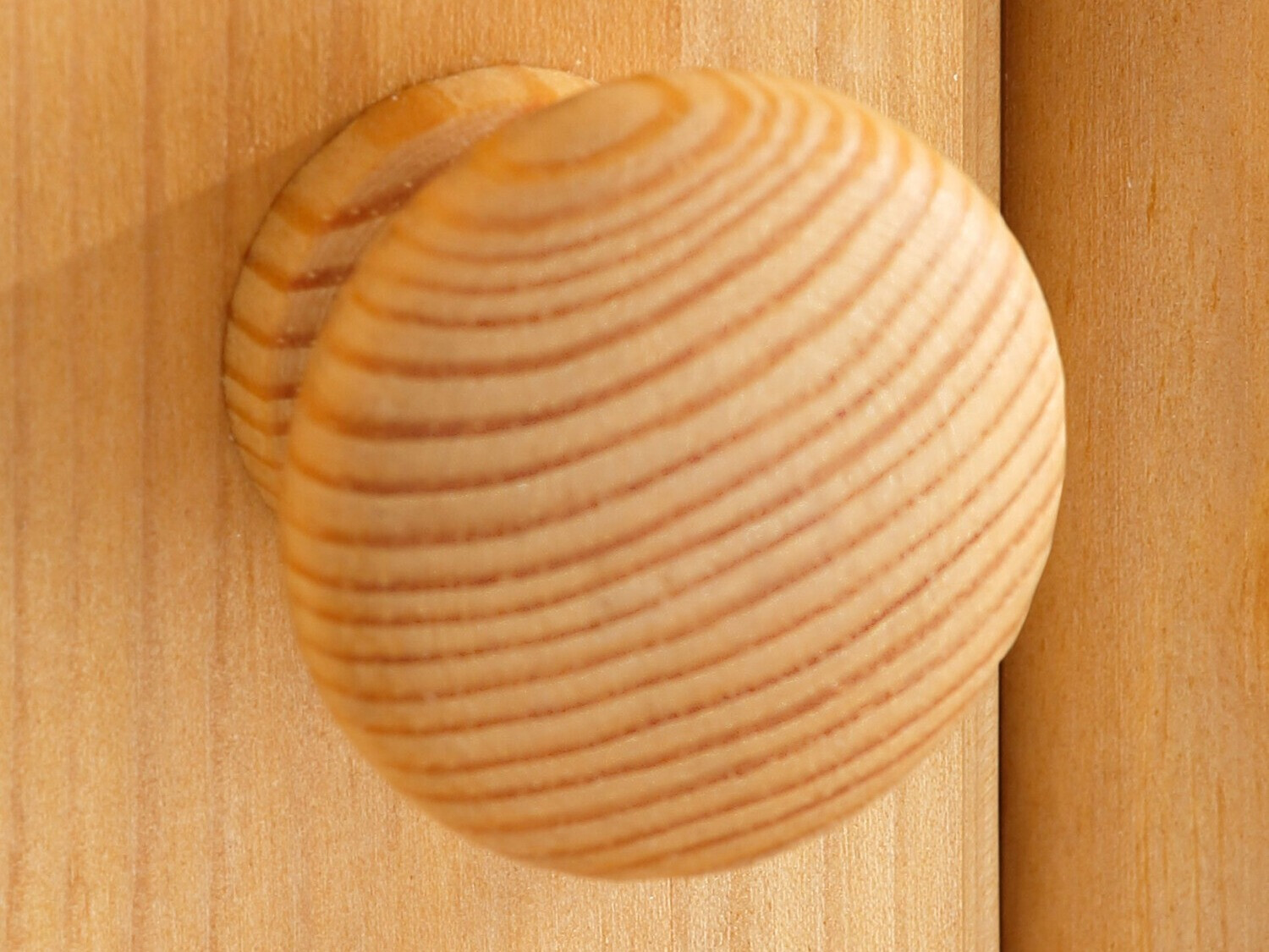 Estante Denton 239 (Pinheiro)