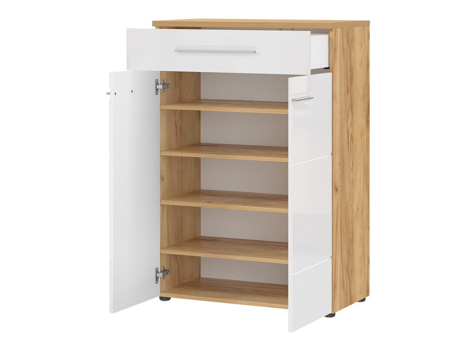 Sapateira Salciro 100