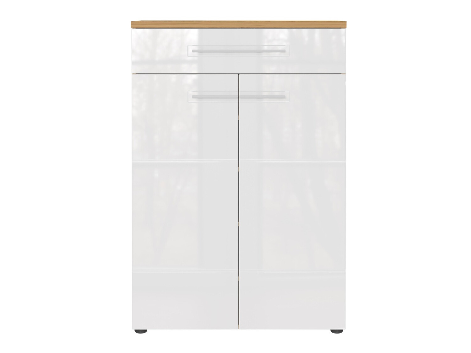 Sapateira Salciro 100