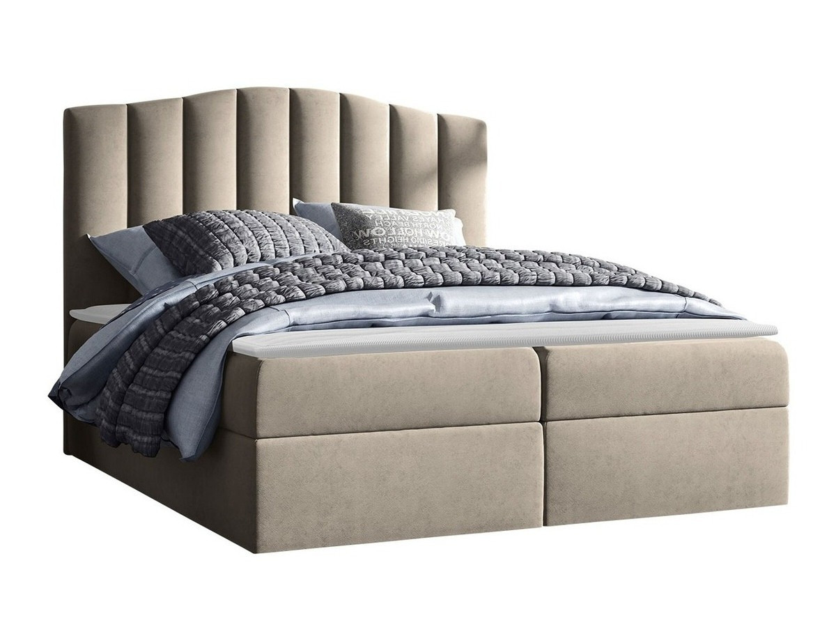 Cama continental Cantus (Casablanca 2303)