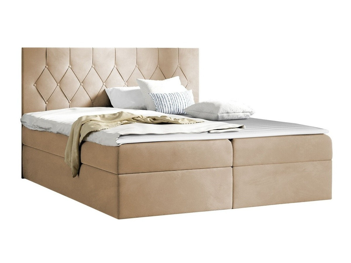 Cama continental Hortulus (Mikrofaza 05)