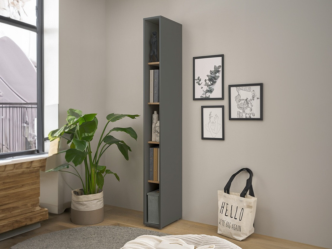 Estante Elbsori 105 (Antracite + Carvalho wotan)