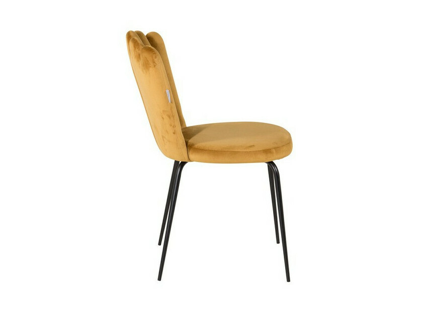 Conjunto para refeições Dallas 2624