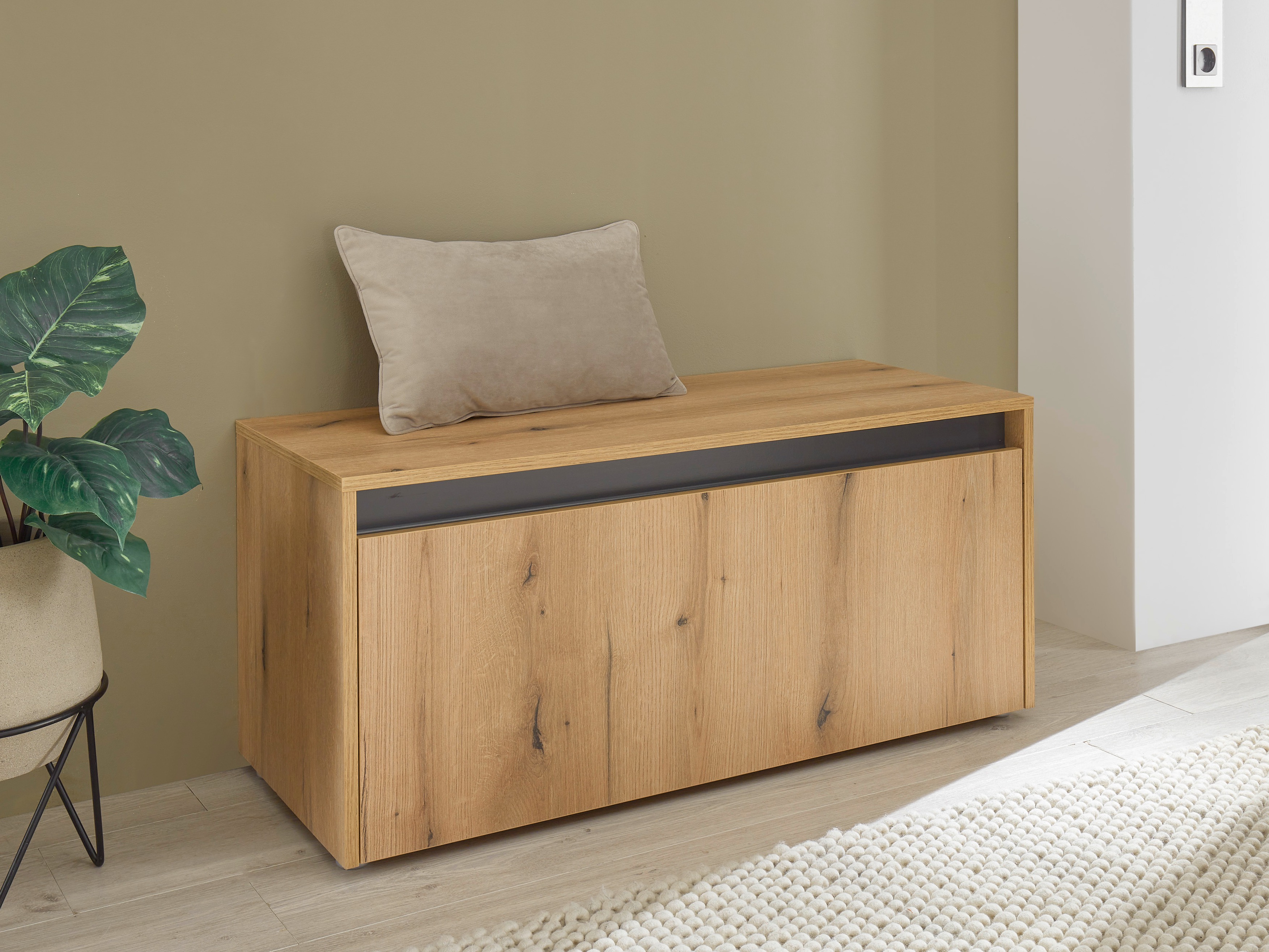 Sapateira Elbsori 163 (Carvalho)