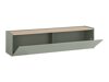 Conjunto para sala de estar Elbsori 121 (Verde + Carvalho)
