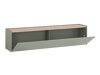 Conjunto para sala de estar Elbsori 121 (Verde + Carvalho)