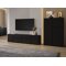 Conjunto para sala de estar Elbleve 104 (Preto)