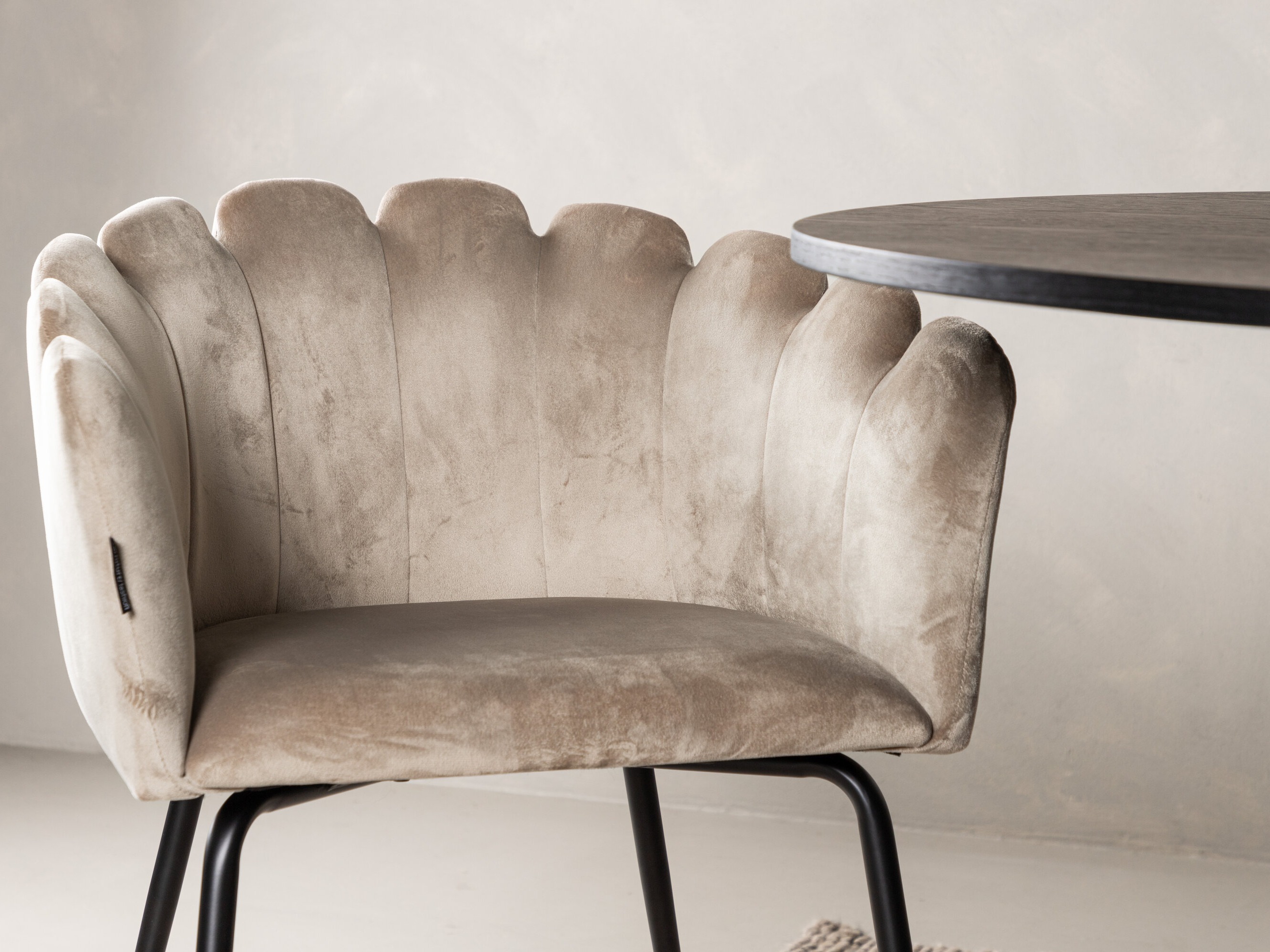 Conjunto para refeições Dallas 5081