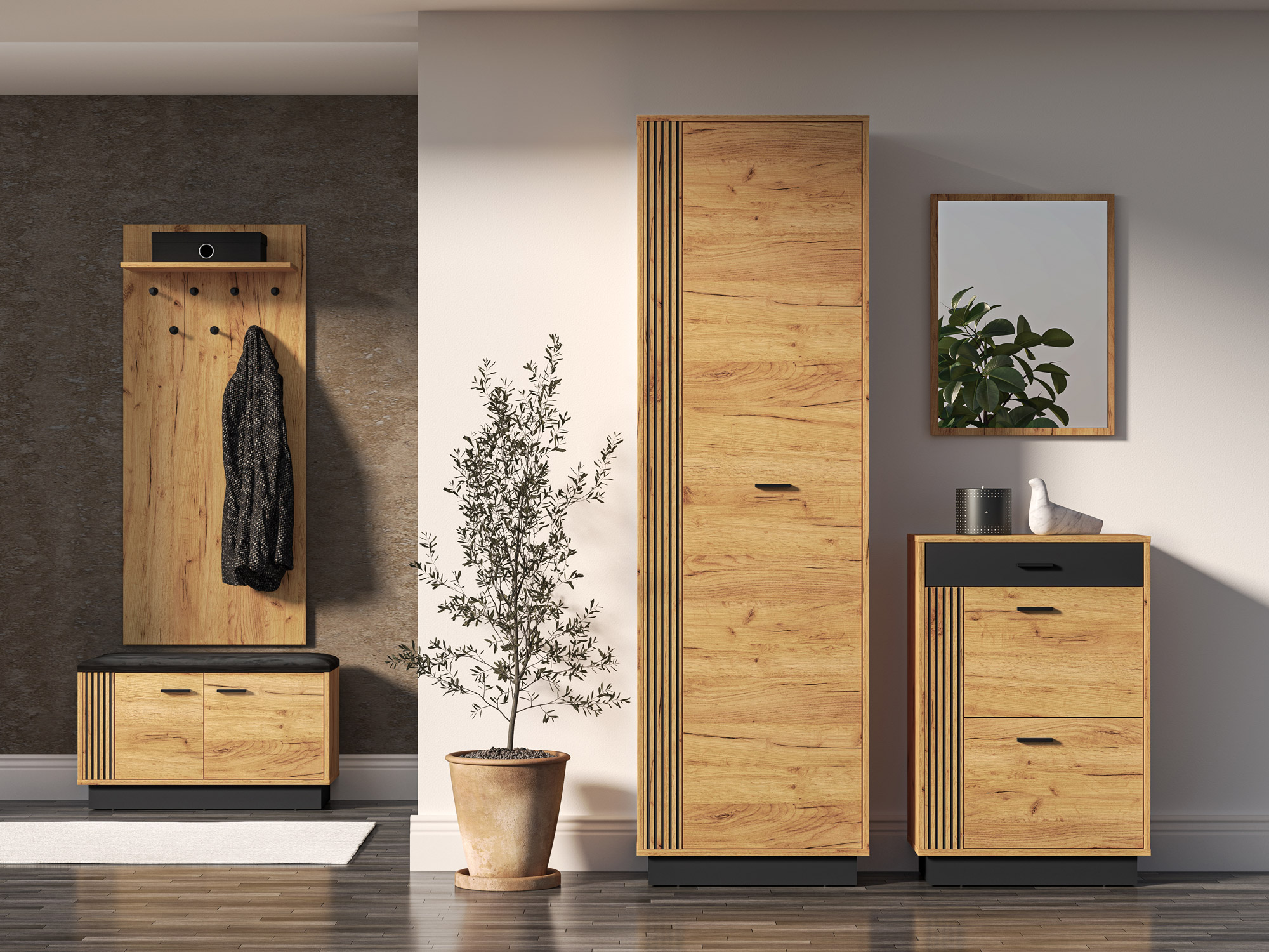 Sapateira Revcire 101