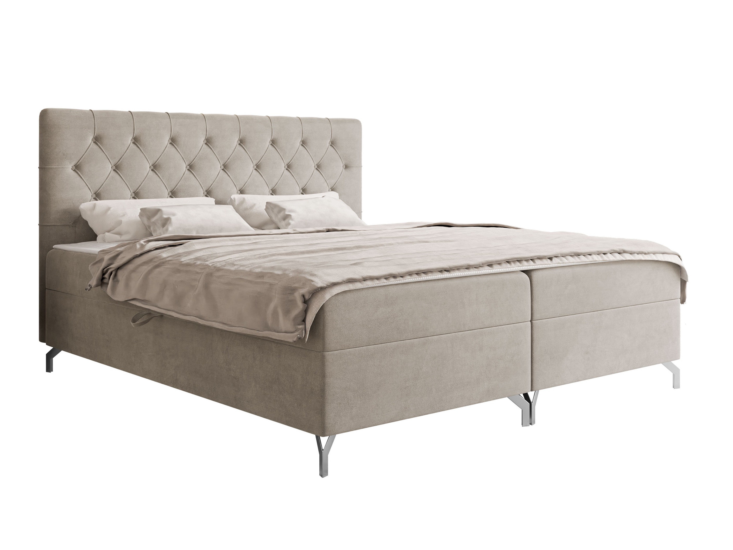 Cama continental Focus (Fresh 01)