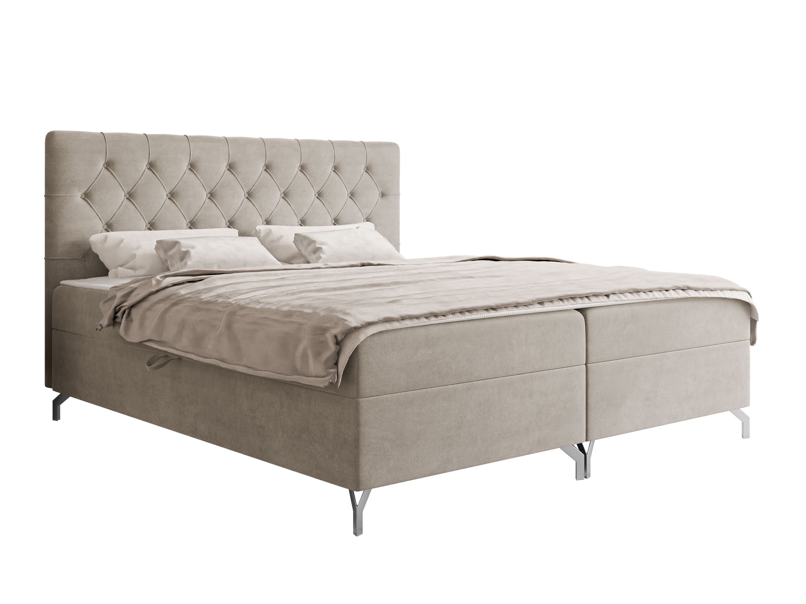Cama continental Focus (Fresh 01)
