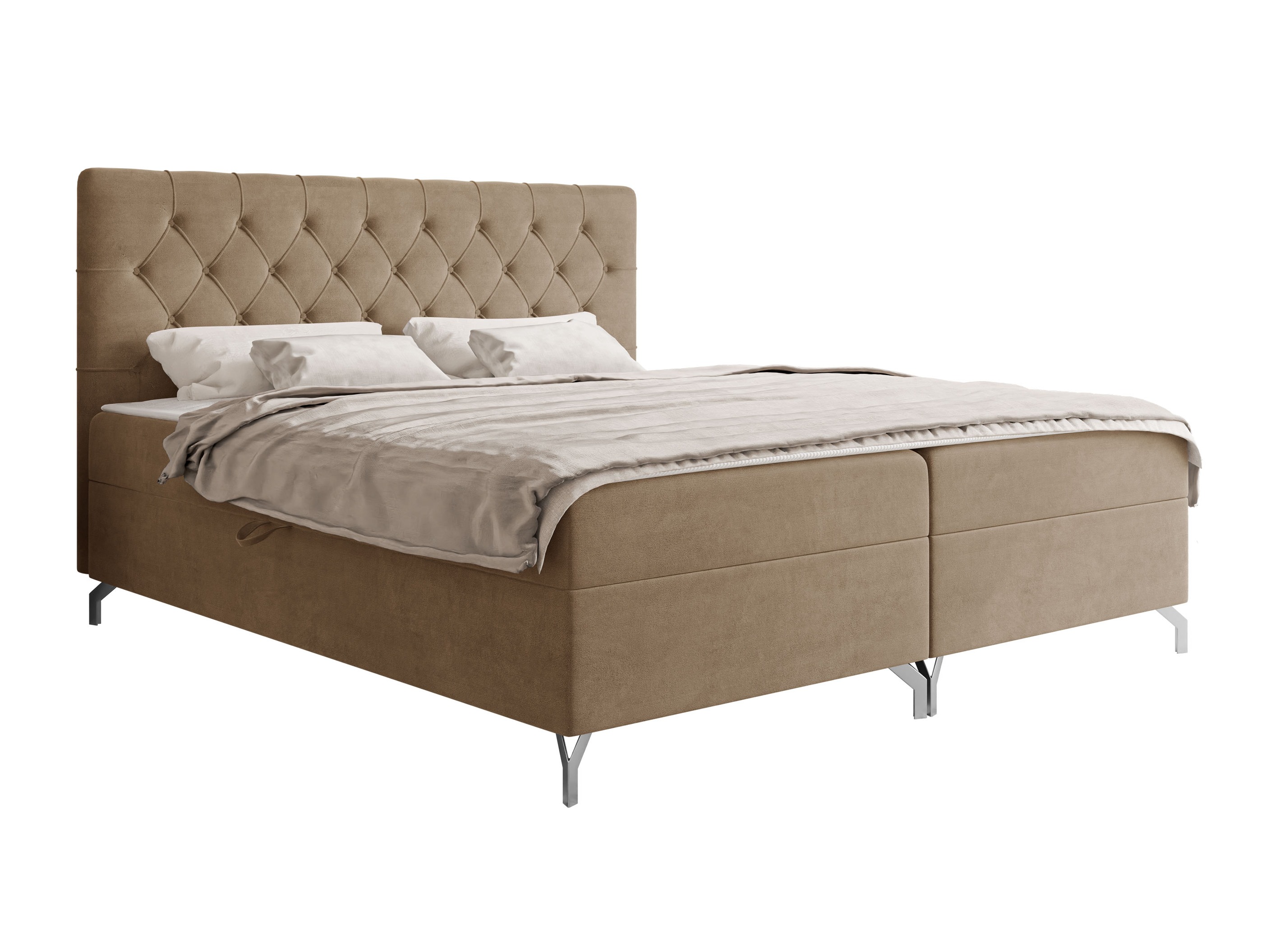 Cama continental Focus (Fresh 03)