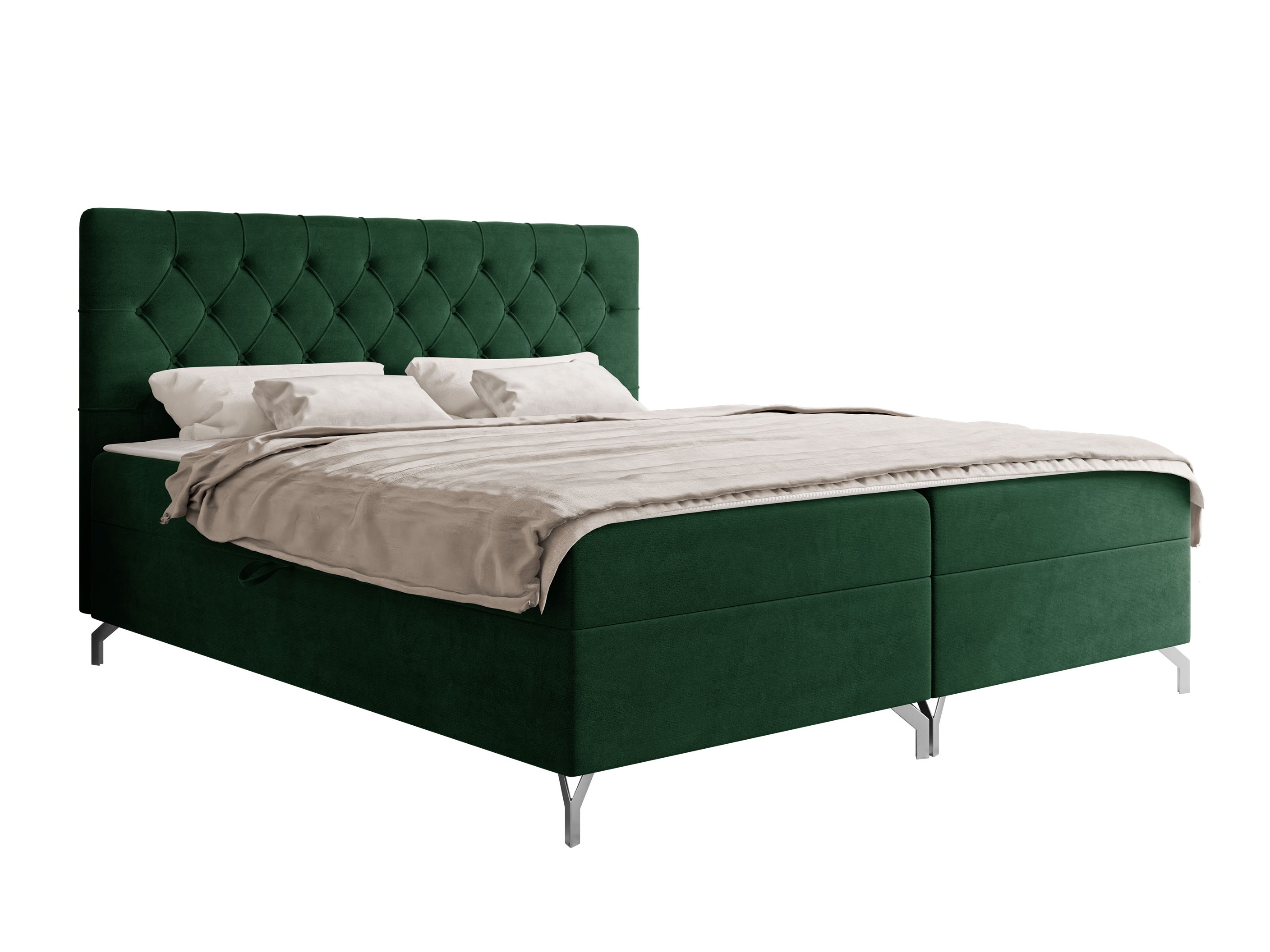 Cama continental Focus (Fresh 13)