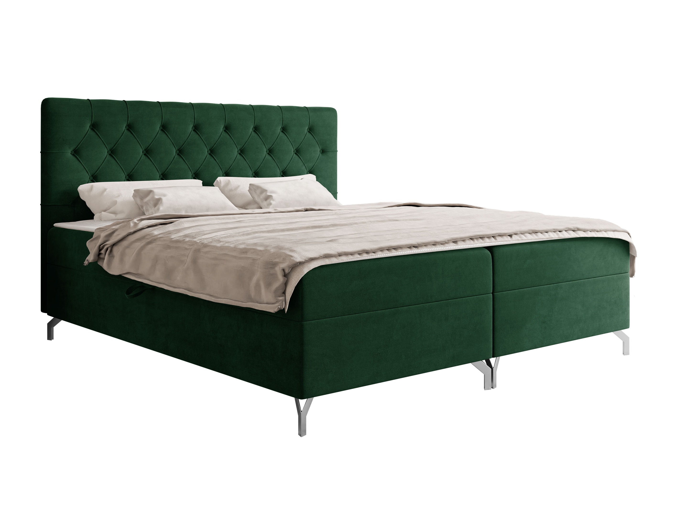 Cama continental Focus (Fresh 13)