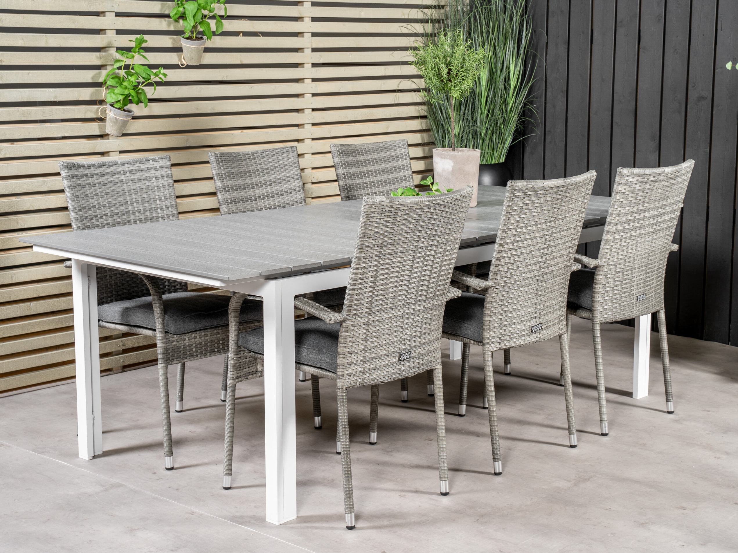 Conjunto de mesa e cadeiras Dallas 5308