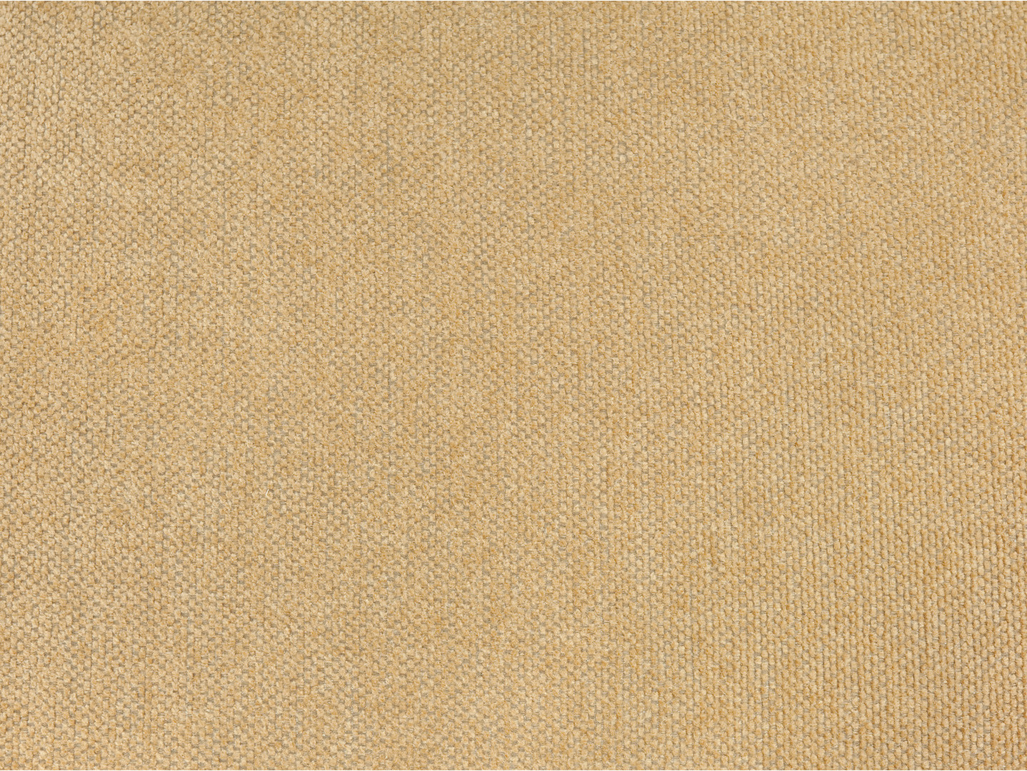 Sofá-cama Boston 765 (Lotus Honey)