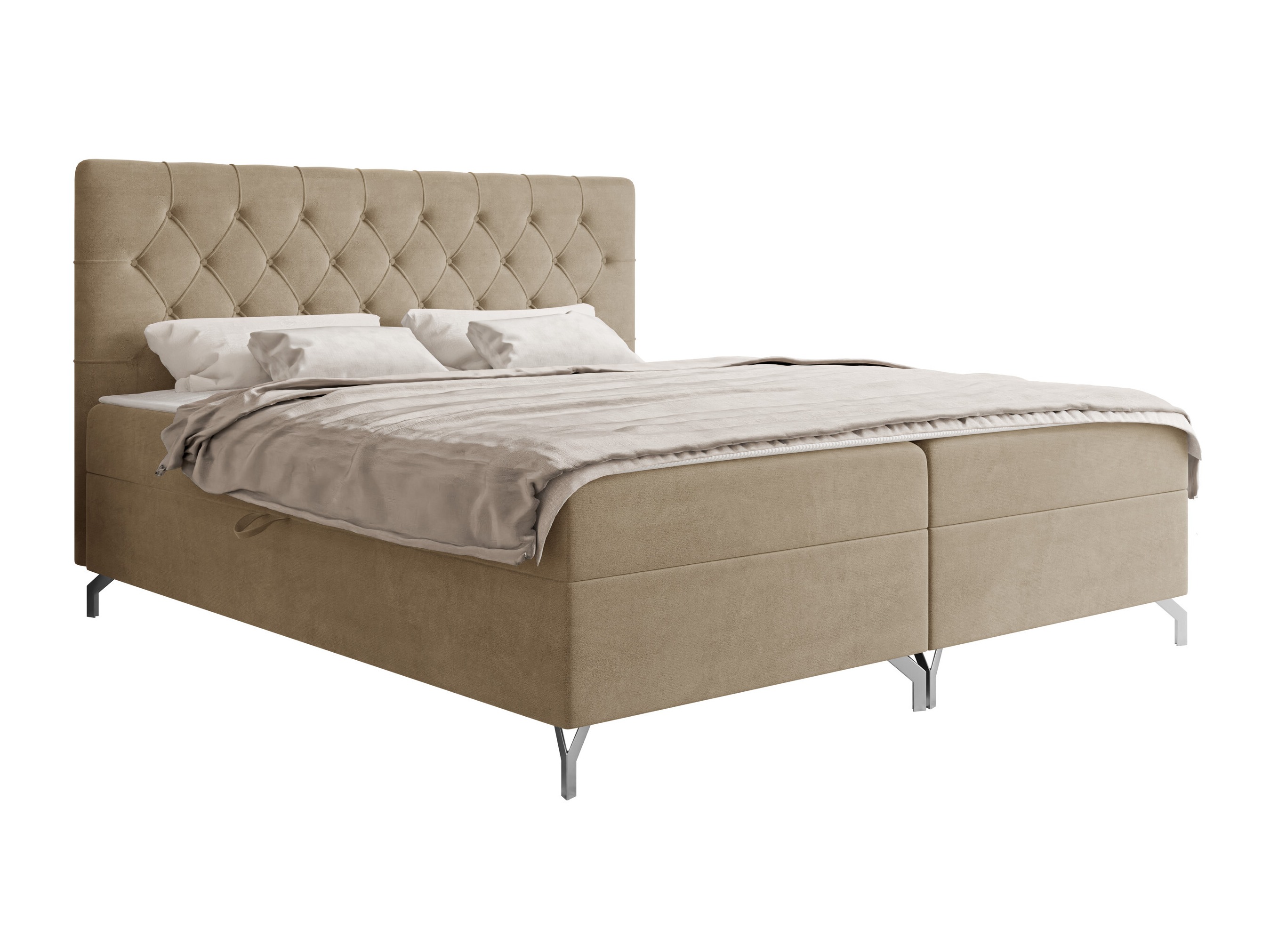 Cama continental Focus (Fresh 03)